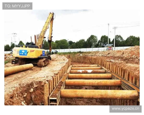 挖掘机钢板桩支护打拔